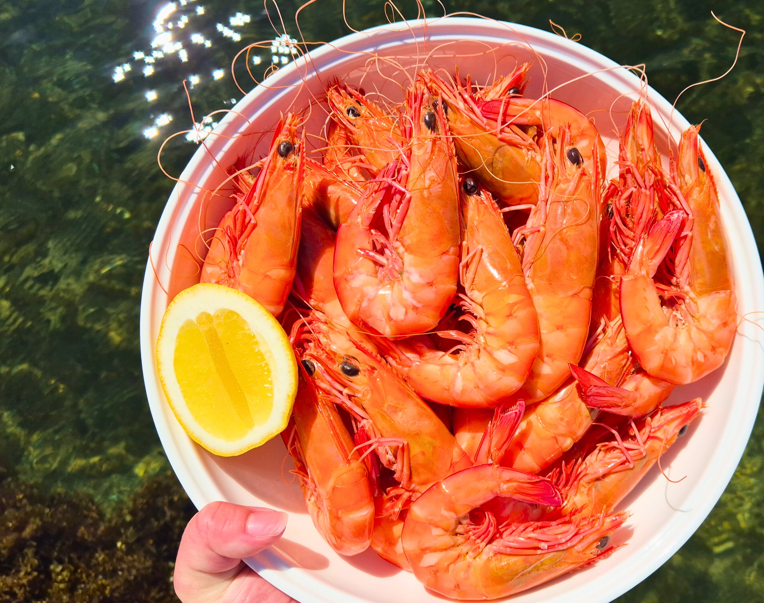 1kg Whole Cooked Prawns